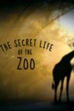 Watch The Secret Life of the Zoo Xmovies8