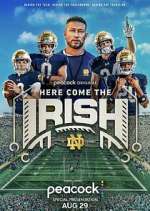 Watch Here Come The Irish Xmovies8