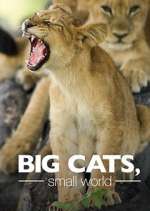 Watch Big Cats, Small World Xmovies8